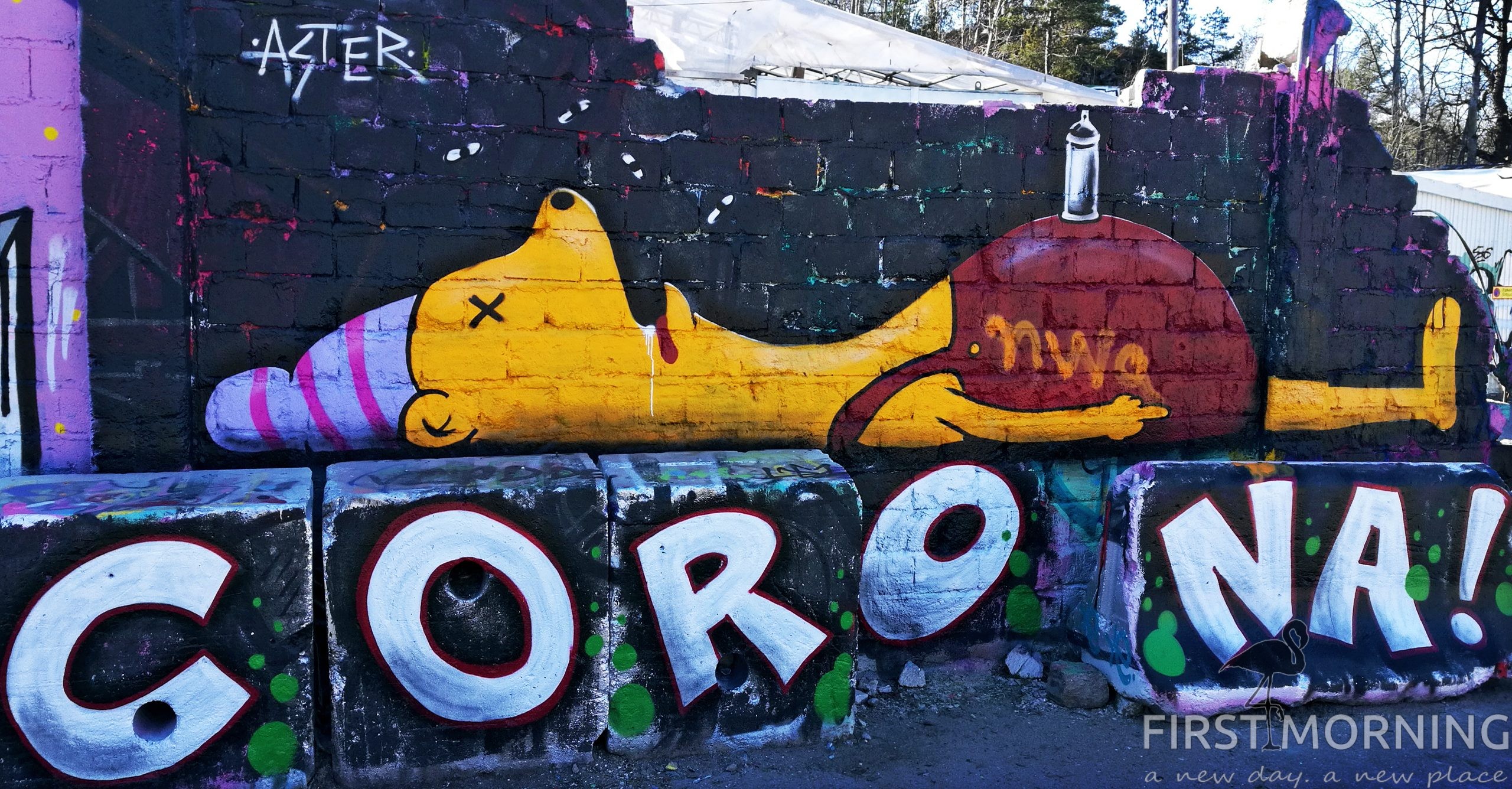 Snosatra Graffiti Wall Of Fame First Morning